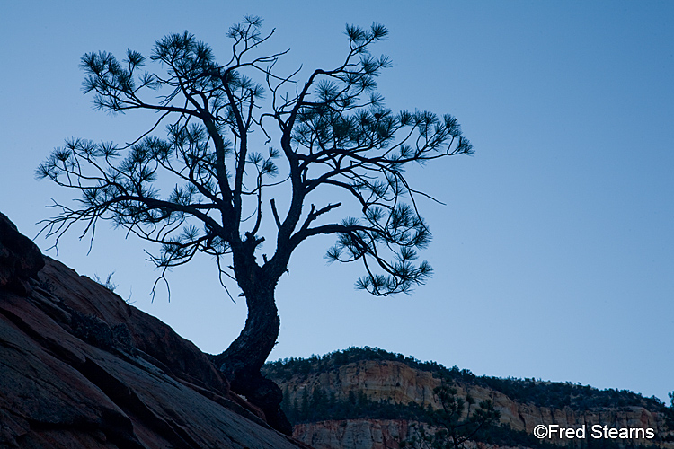 Zion National Park, Various