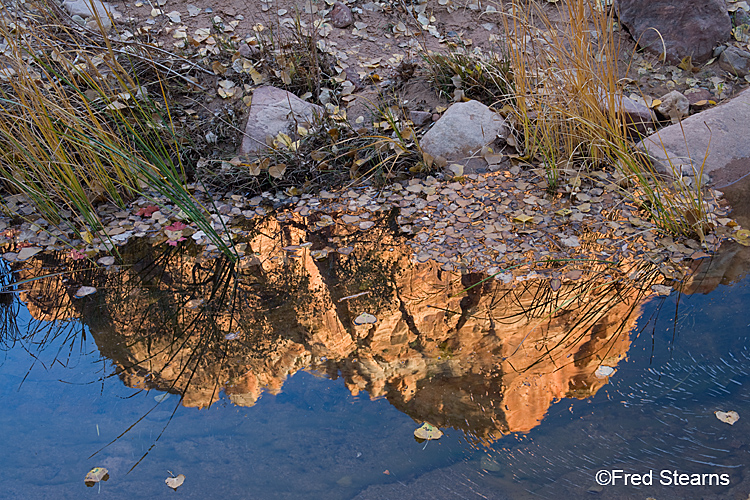 Zion National Park, Pine Creek