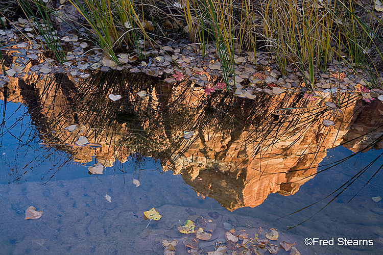 Zion National Park, Pine Creek