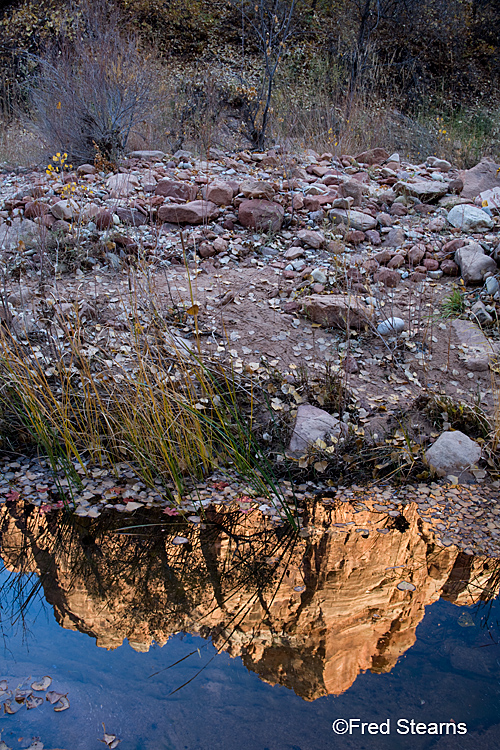 Zion National Park, Pine Creek