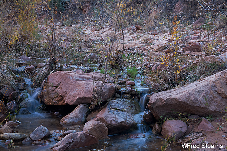 Zion National Park, Pine Creek