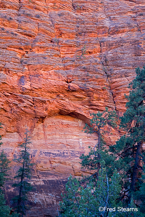 Zion National Park, Red Cliff