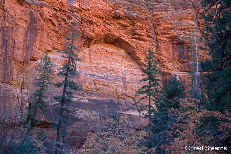 Zion National Park, Red Cliff