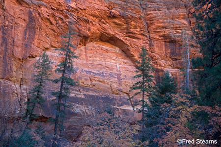 Zion National Park Red Cliff