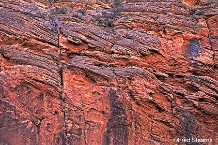 Zion National Park Red Cliff