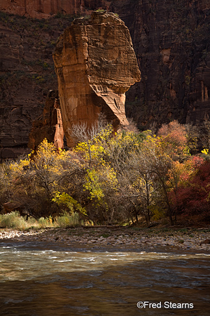 Zion National Park Temple of Sinawava