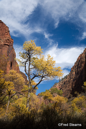 Zion National Park Temple of Sinawava