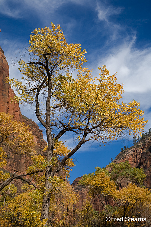 Zion National Park, Tempole of Sinawava