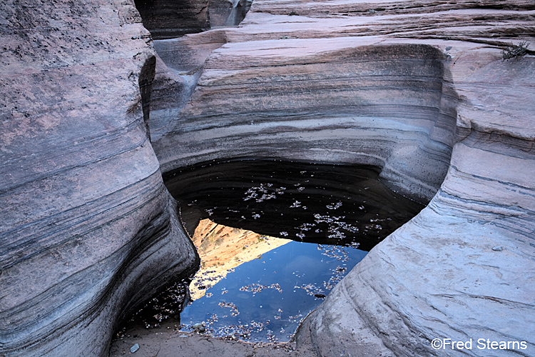 Zion National Park, Scallop Gulch