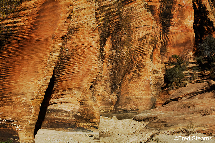 Zion National Park, Scallop Gulch