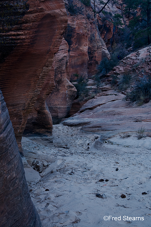 Zion National Park, Scallop Gulch