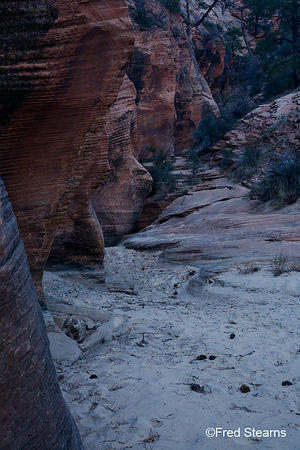 Zion National Park Scallop Gulch