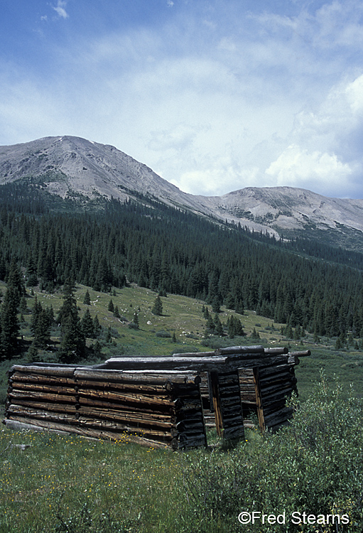 White River NF Independence Colorado