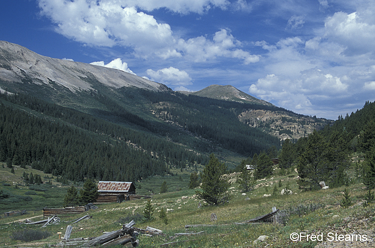 White River NF Independence Colorado