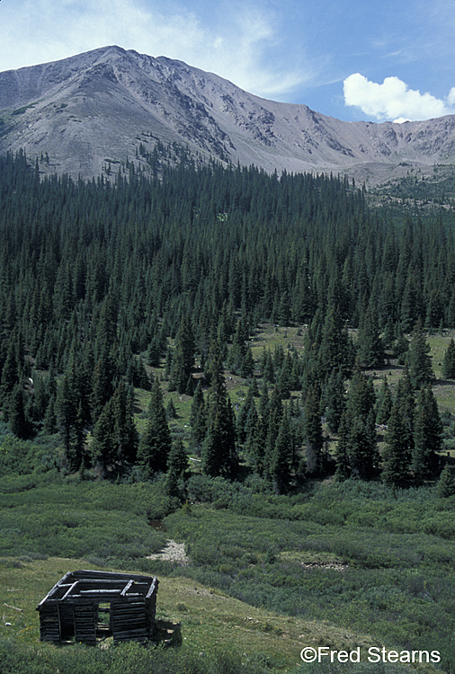 White River NF Independence Colorado