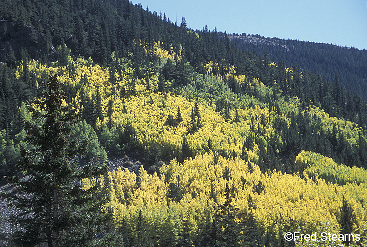 Arapaho NF Guanella Pass