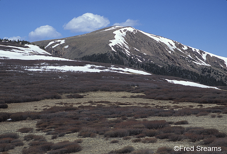 Arapaho NF Guanella Pass