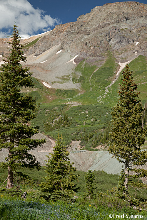 Upper Camp Bird  Ouray Colorado