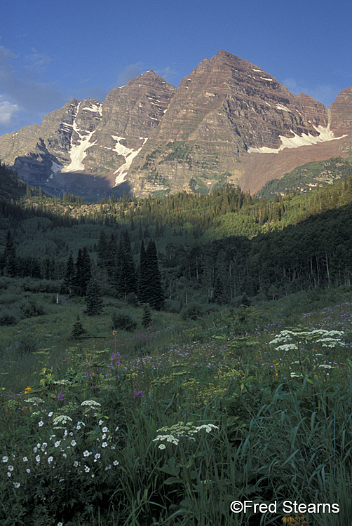 White River NF Maroon Bells