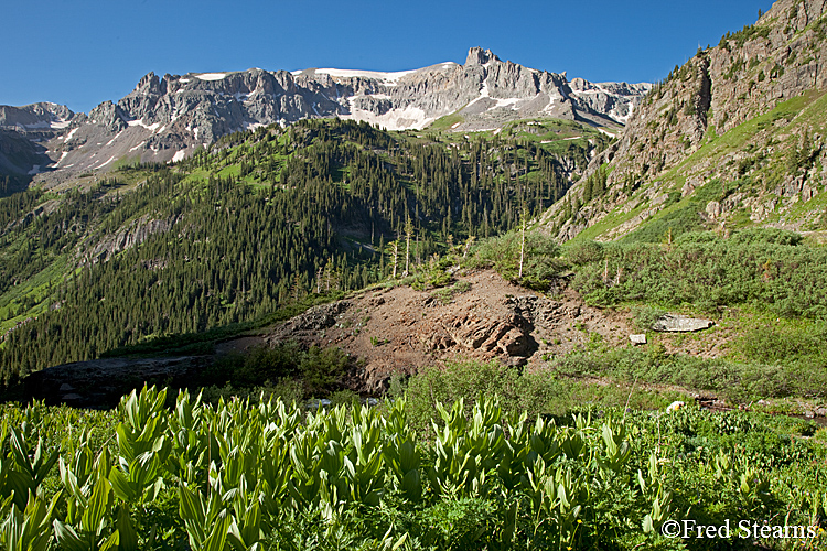 Yankee Boy Basin Ouray Colorado