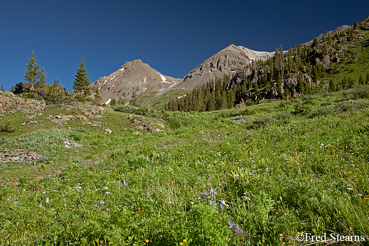 Yankee Boy Basin Ouray Colorado