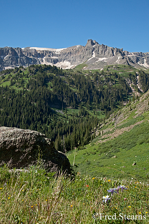 Yankee Boy Basin Ouray Colorado