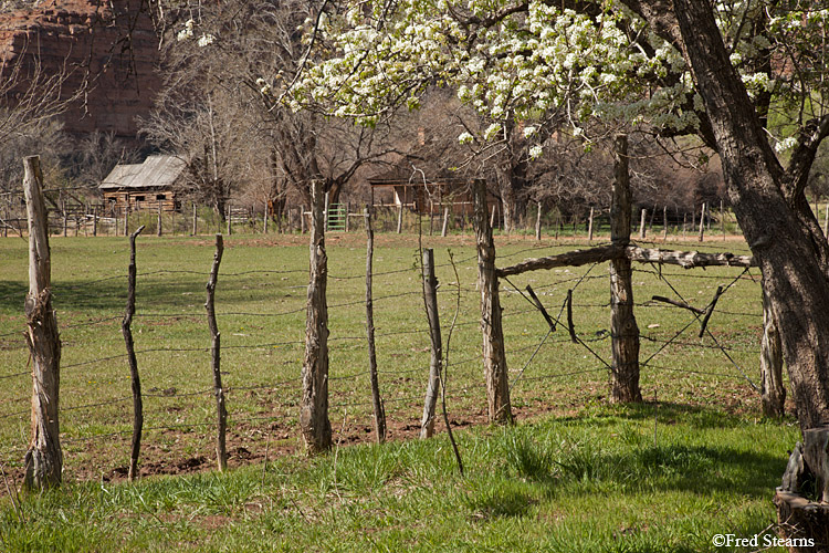 Grafton Ghost Town Louisa Marie Russell House John and Ellen Wood Home