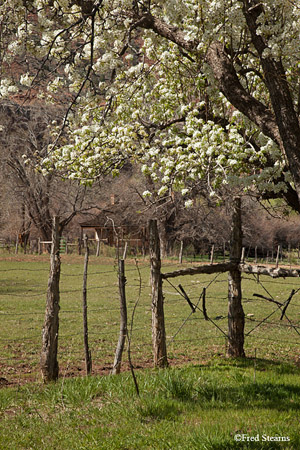 Grafton Ghost Town John and Marie Wood Home