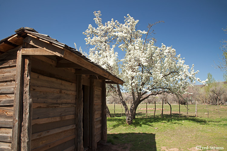 Grafton Ghost Town Louisa Marie Russell House Shed