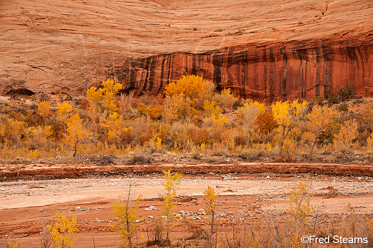 Canyon Rim Rec Area Roadside ttractions Fall Follige