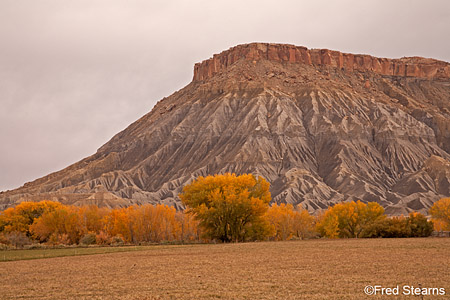 Canyon Rim Rec Area Fall Foliage