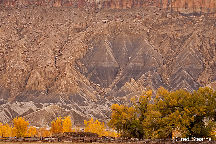 Canyon Rim Rec Area Roadside ttractions Fall Follige