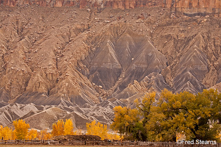 Canyon Rim Rec Area Fall Foliage