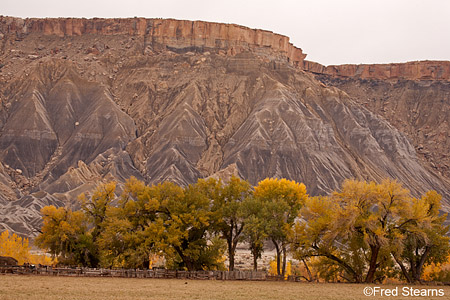 Canyon Rim Rec Area Fall Foliage