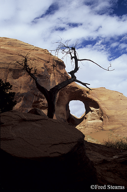 Monument Valley Ear of the Wind