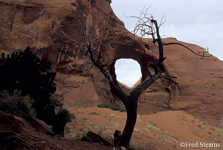 Monument Valley Ear of the Wind