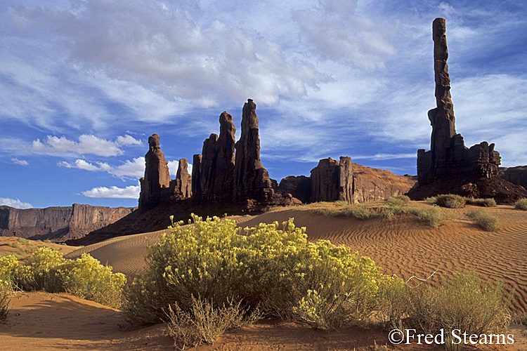 Monument Valley Sand Dunes