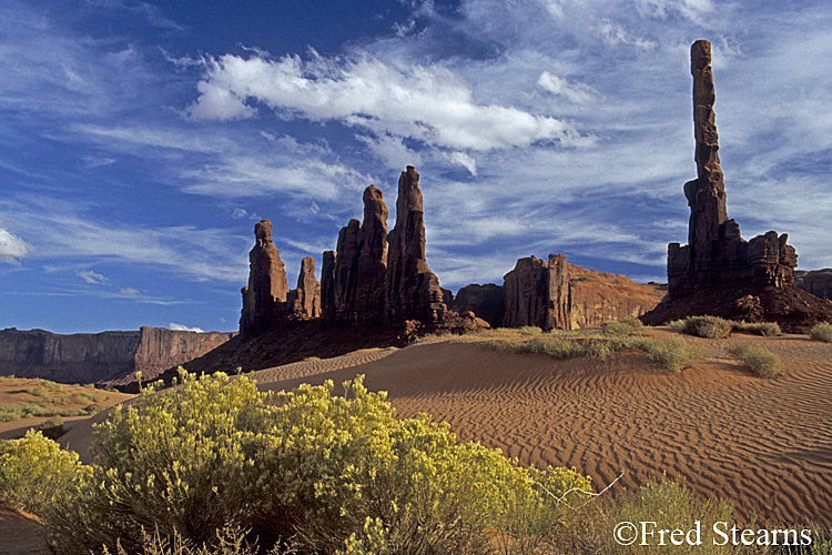 Monument Valley Sand Dunes