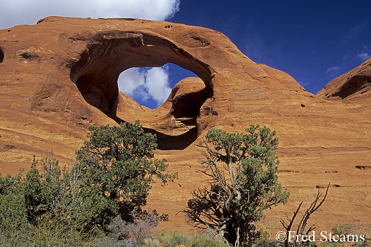 Monument Valley Spiderweb Arch