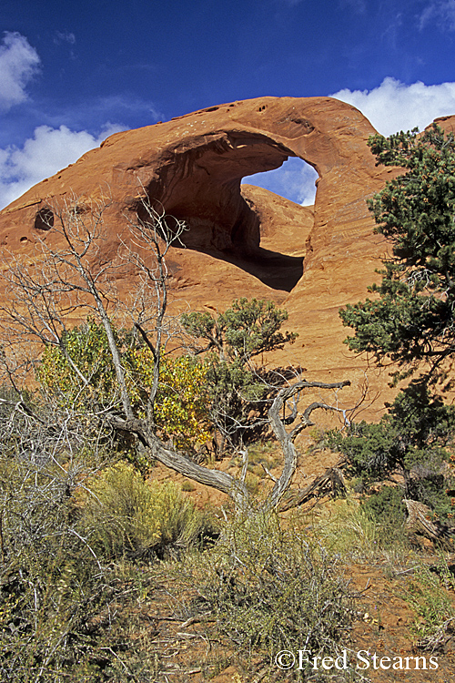 Monument Valley Spiderweb Arch