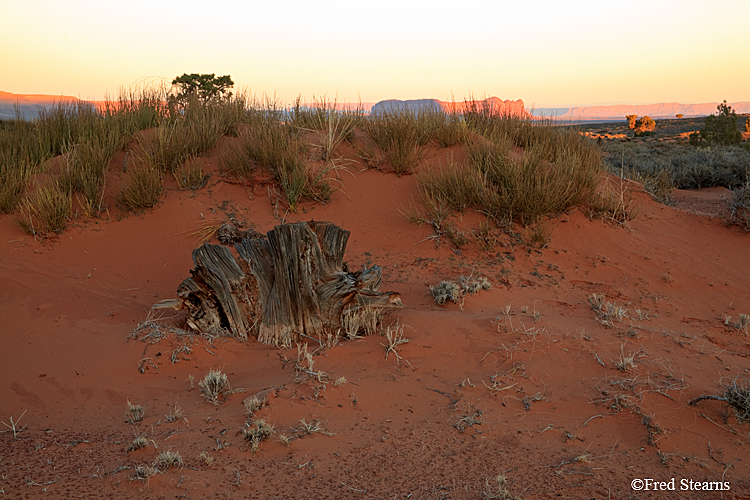 Monument Valley Ear of the Wind