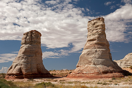 Navajo Tribal Park Elephant Feet