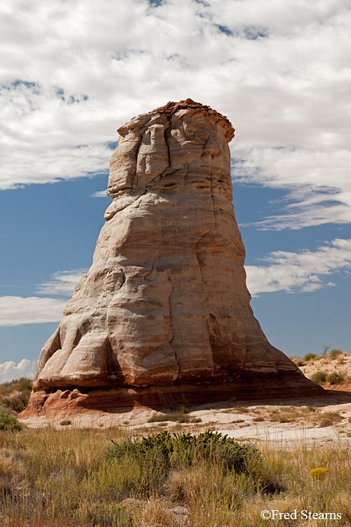 Navajo Tribal Park Elephant Feet