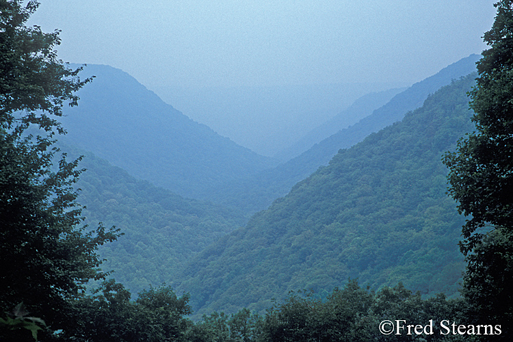 Babcock State Park Valley